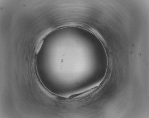 X0000076430805200610202243