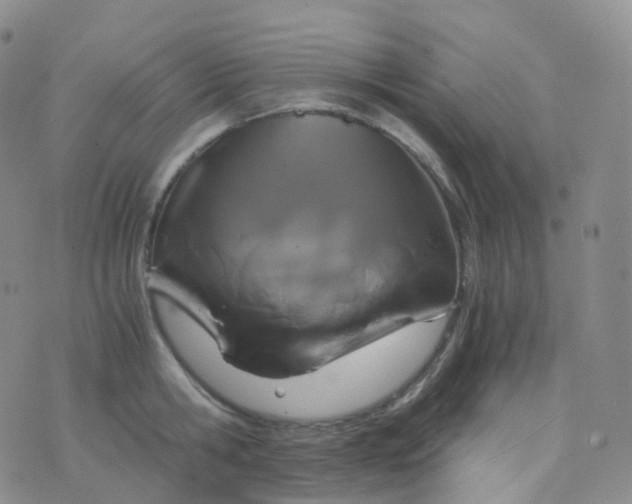 X0000076430806200610202243