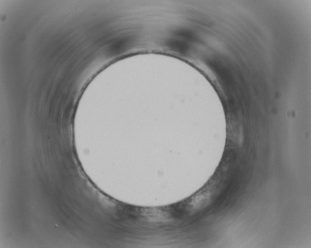 X0000076430807200610202243