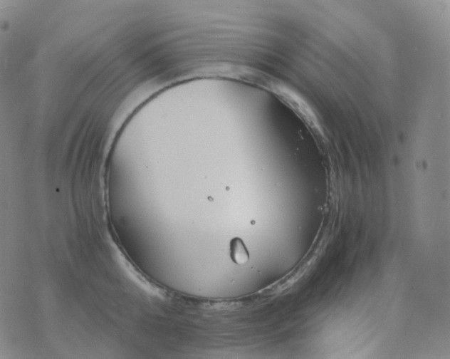 X0000076430808200610202243