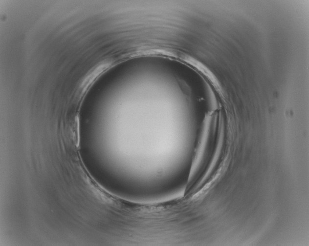 X0000076430809200610202243