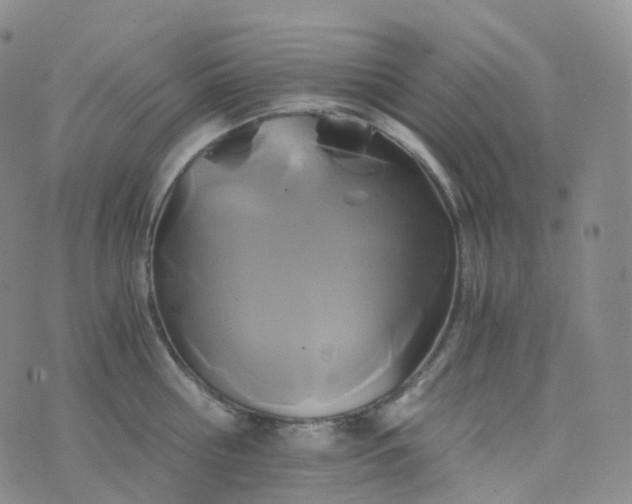 X0000076430810200610202243