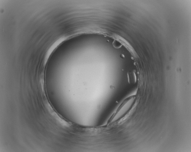 X0000076430812200610202243