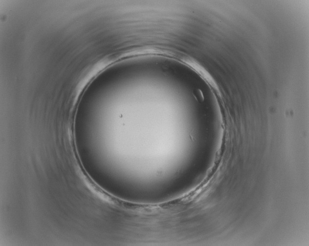 X0000076430813200610202243