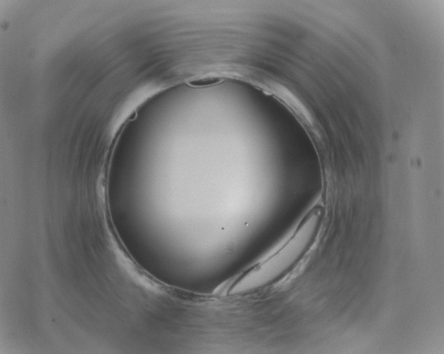 X0000076430814200610202243