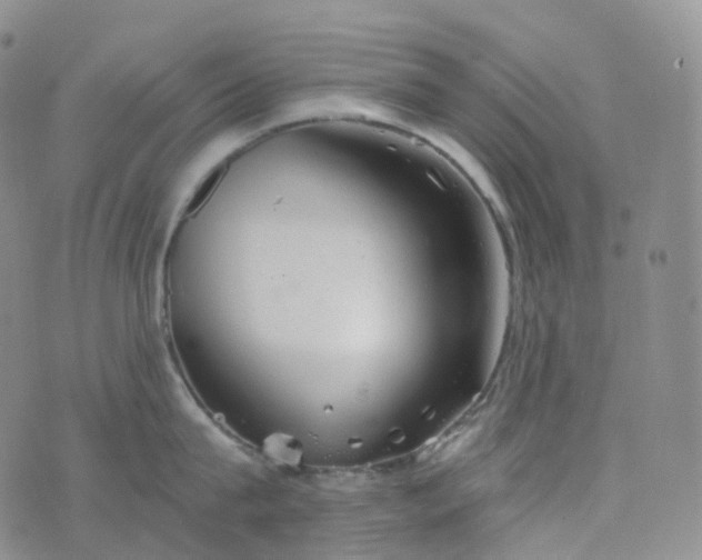 X0000076430815200610202243