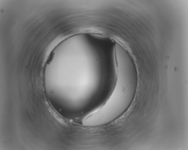 X0000076430816200610202243