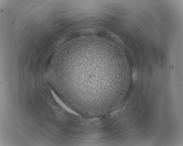 X0000076430819200610202242