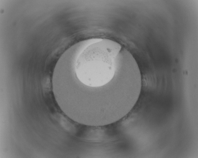 X0000076430820200610202242