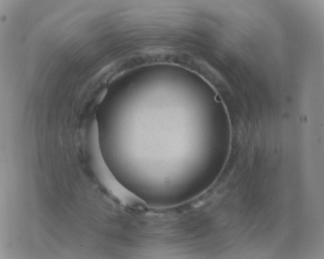 X0000076430821200610202242