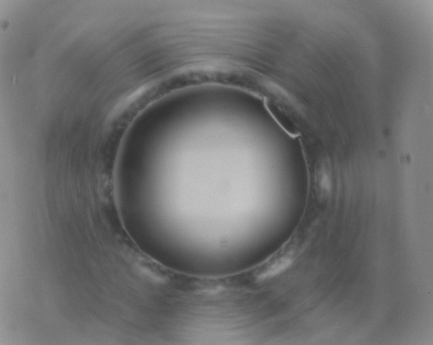 X0000076430822200610202242