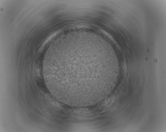 X0000076430823200610202242