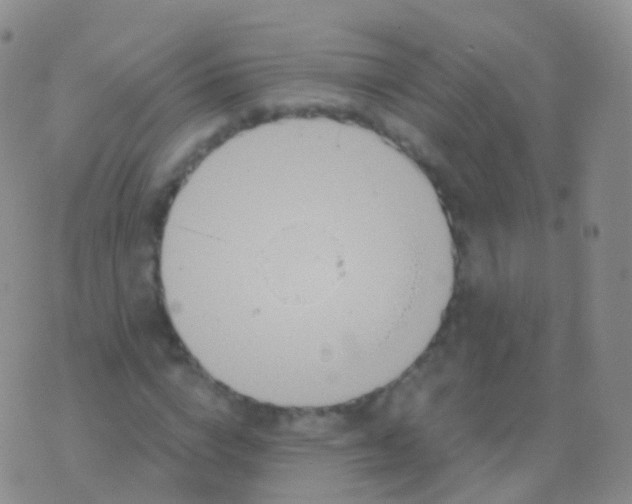 X0000076430824200610202243