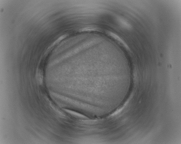 X0000076430825200610202243