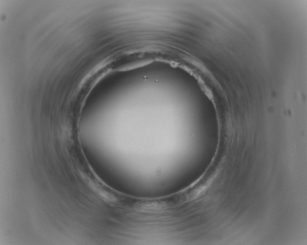 X0000076430826200610202243