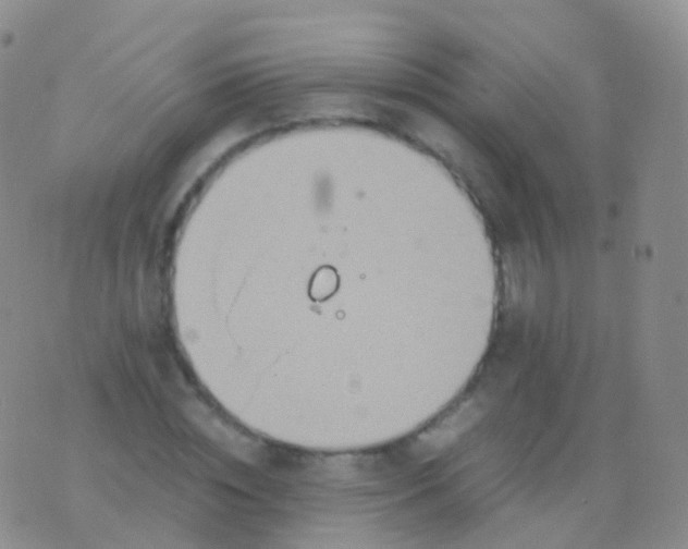 X0000076430828200610202243