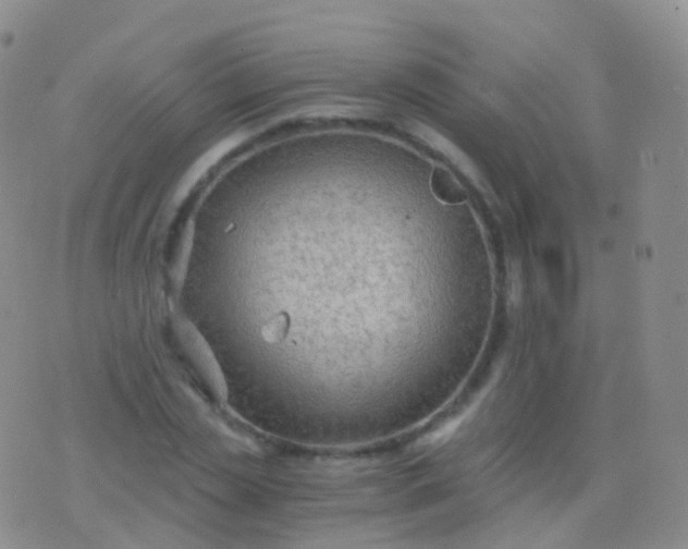 X0000076430829200610202243