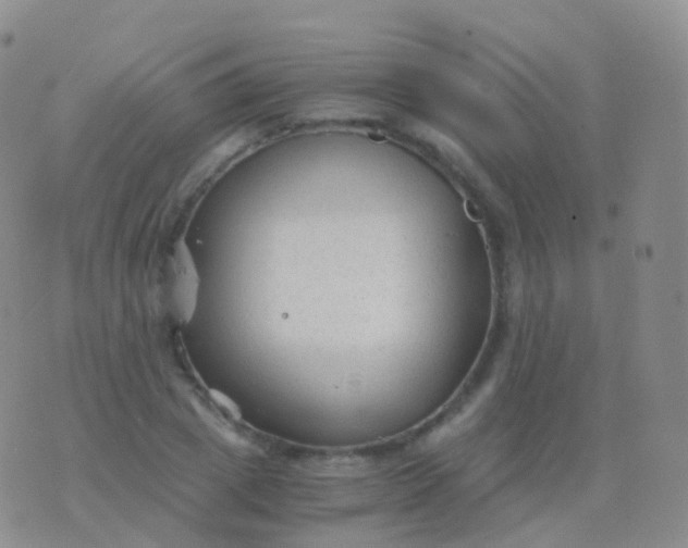 X0000076430833200610202243