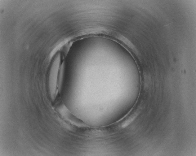 X0000076430834200610202243