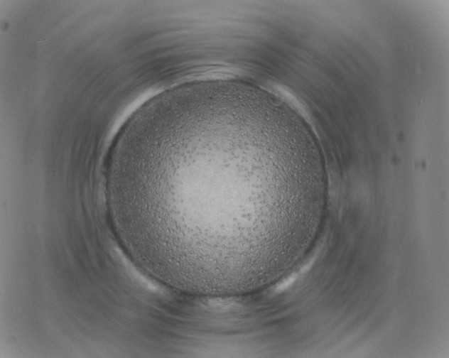 X0000076430835200610202243