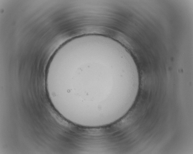 X0000076430836200610202243