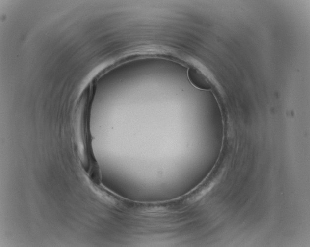 X0000076430837200610202243