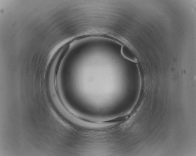 X0000076430838200610202243