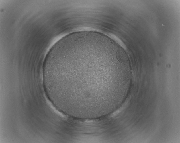 X0000076430839200610202243