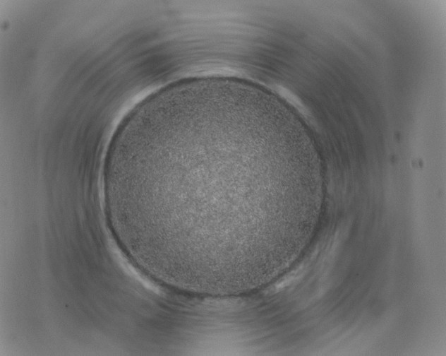 X0000076430840200610202243