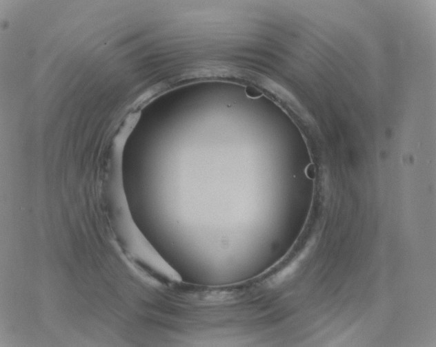 X0000076430841200610202243