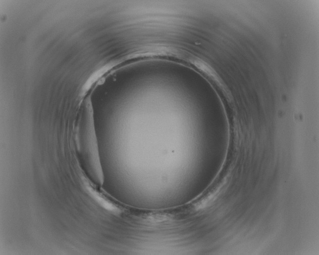 X0000076430842200610202243