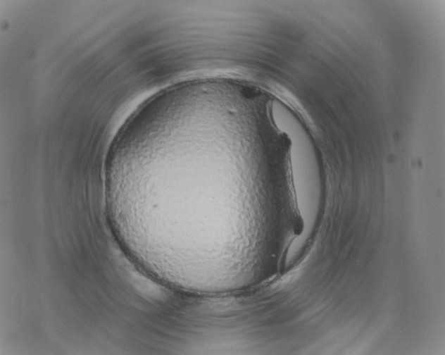 X0000076430844200610202243