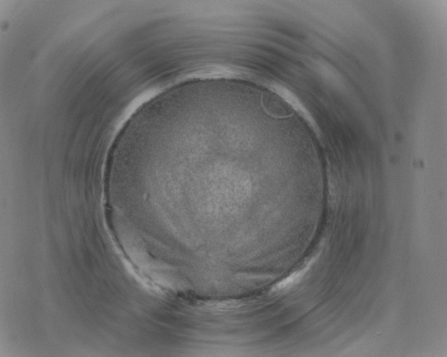 X0000076430845200610202243