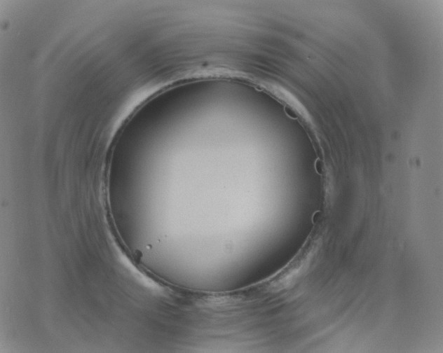 X0000076430847200610202243