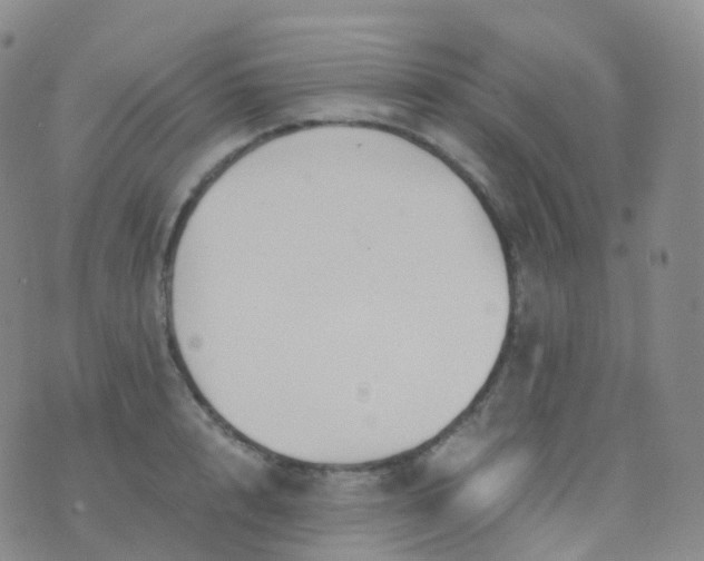 X0000076430848200610202243