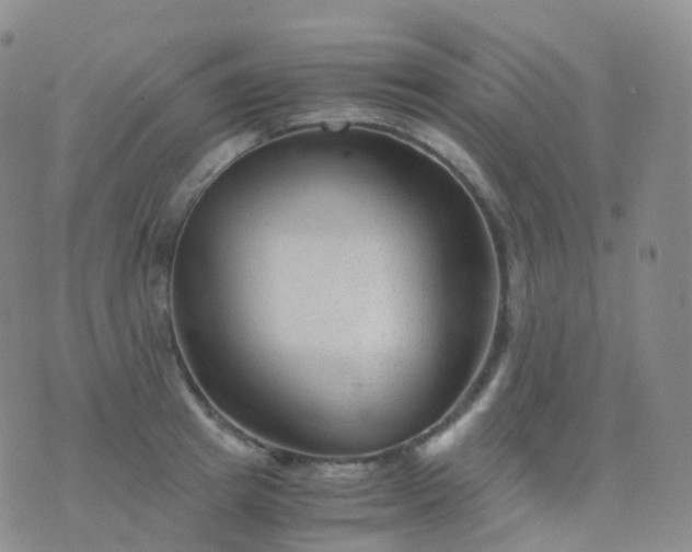 X0000076430849200610202243