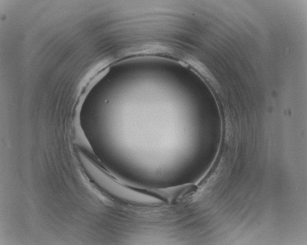 X0000076430850200610202243