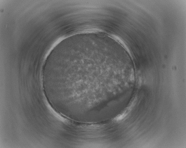 X0000076430851200610202243