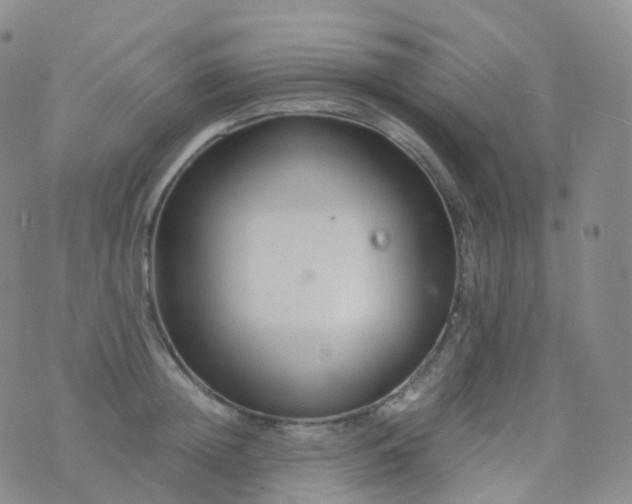 X0000076430852200610202243