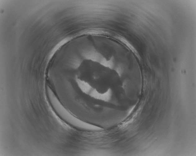 X0000076430853200610202243