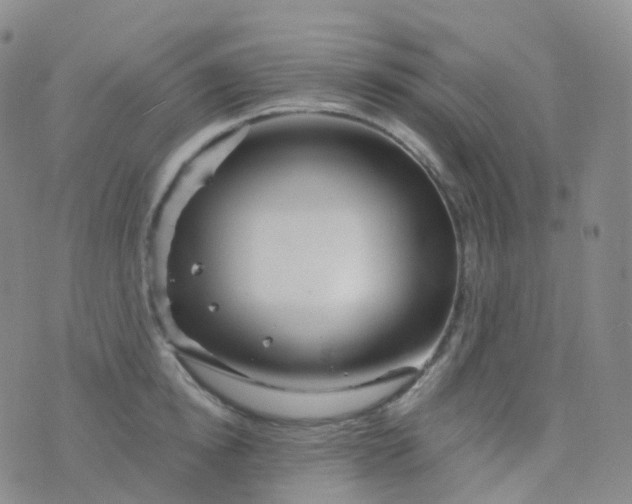 X0000076430854200610202243