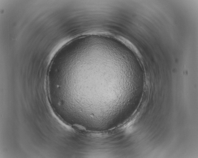 X0000076430855200610202243