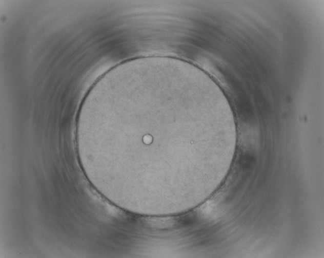 X0000076430856200610202243