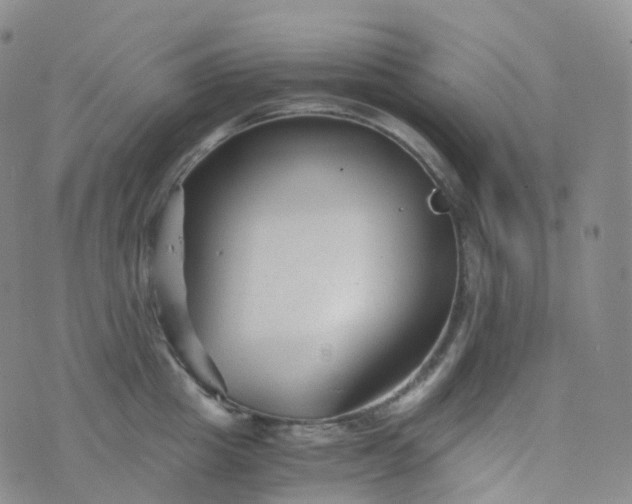 X0000076430857200610202243