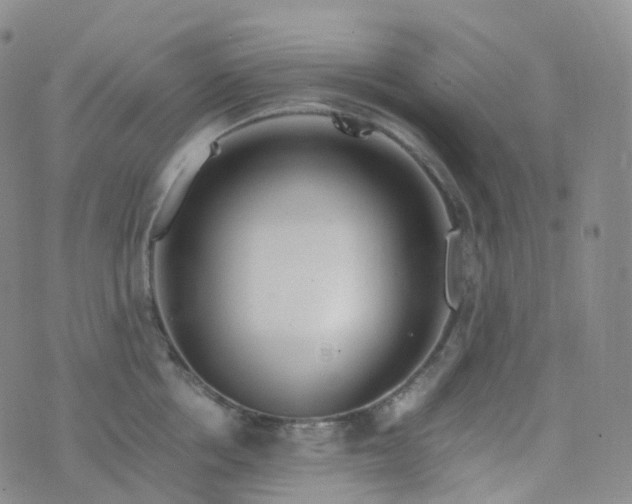 X0000076430858200610202243