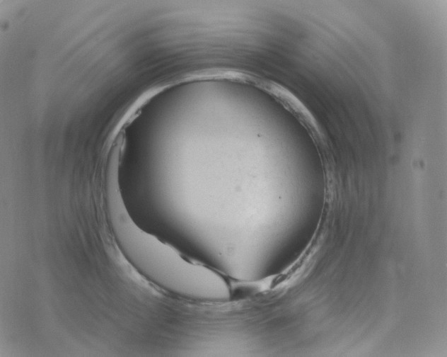 X0000076430860200610202243