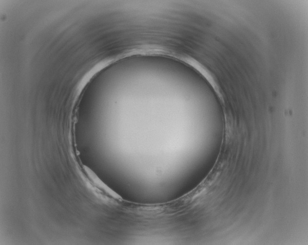 X0000076430861200610202243