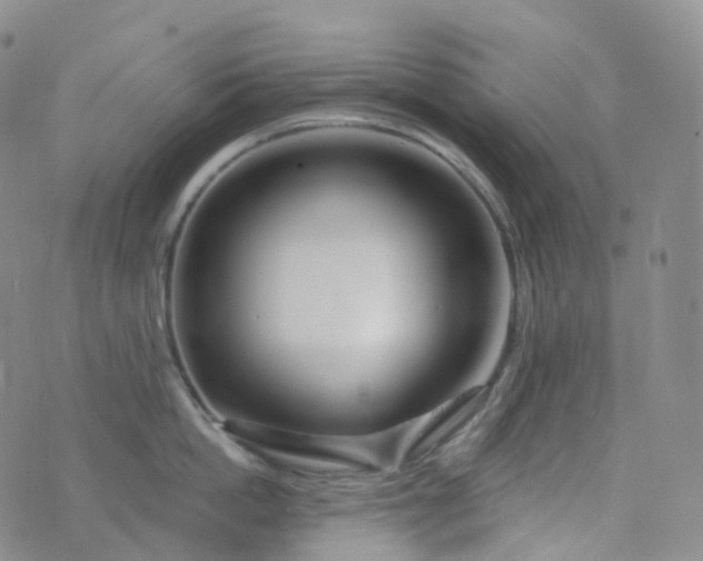 X0000076430862200610202243