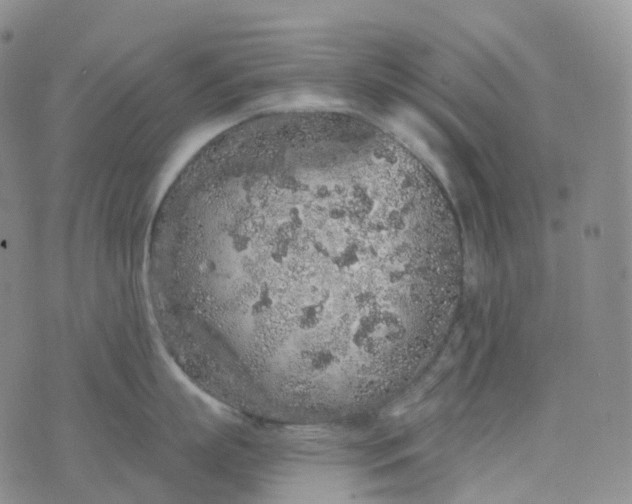 X0000076430863200610202243