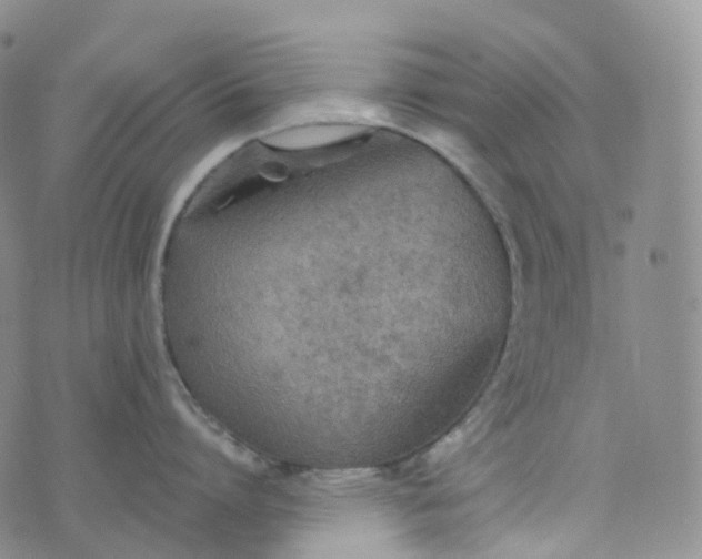 X0000076430864200610202243